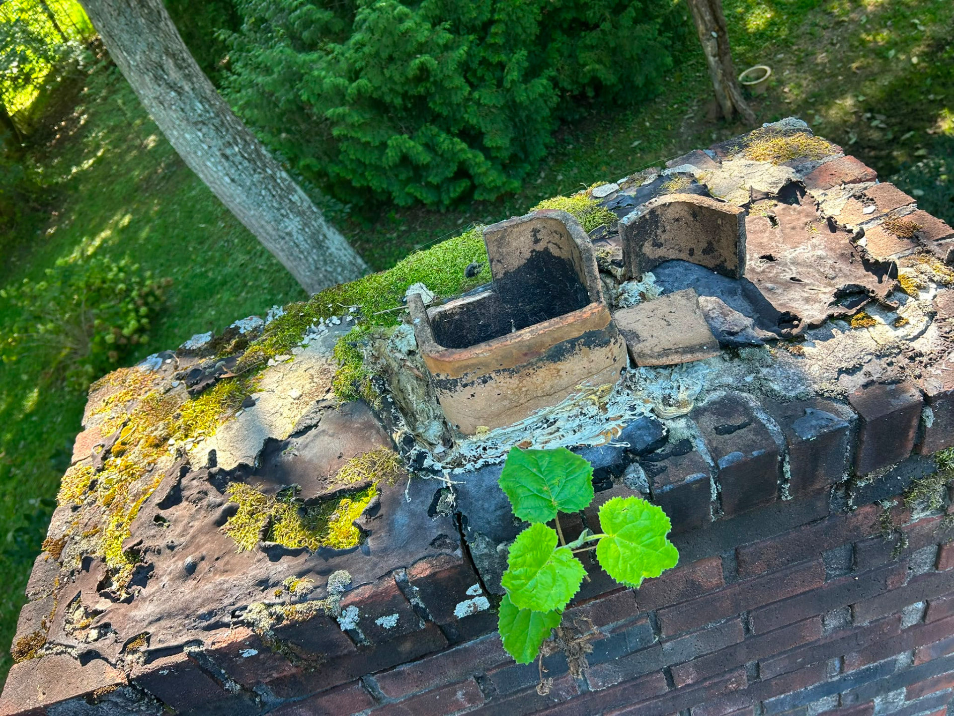 Crown & Flue Tile Rebuild โ before